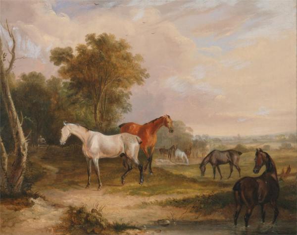 Horses Grazing,a Grey Stallion Grazing With Mares In A Meadow by Francis Calcraft Turner