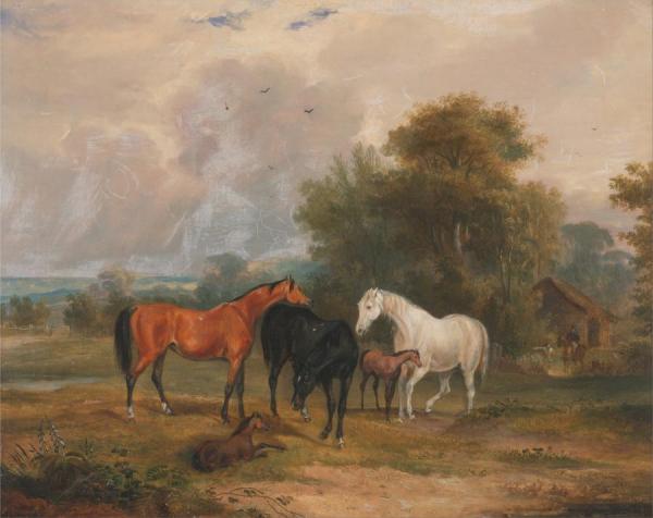 Horses Grazing,mares And Foals In A Field by Francis Calcraft Turner