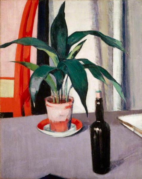 Aspidistra And Bottle On Table by Francis Campbell Boileau Cadell