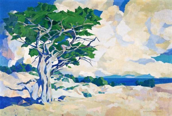 Monterey Cypress by Francis John Mccomas