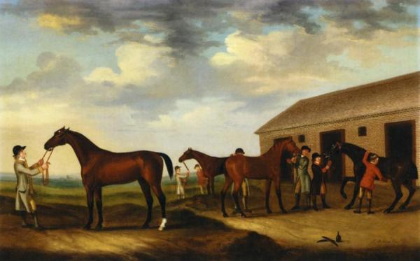 Four Racehorses Outside The Rubbing Down House, Newmarket by Francis Sartorius