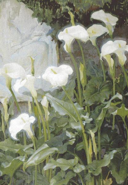 Lirios by Francisco Pons Arnau