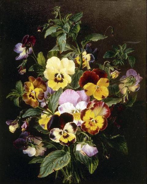 Pansies by Francois Lepage
