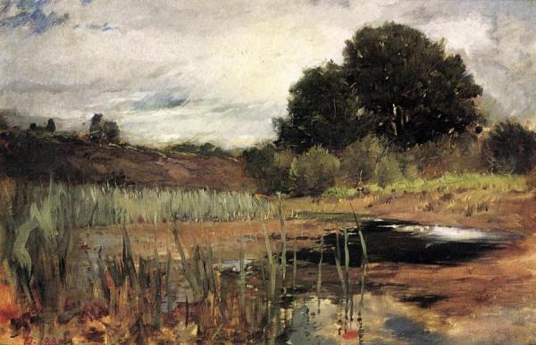 Polling Landscape by Frank Duveneck