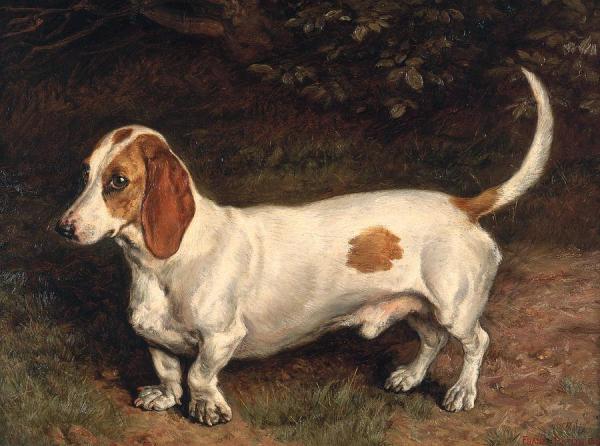 Frank Paton A Favorite Dachshund