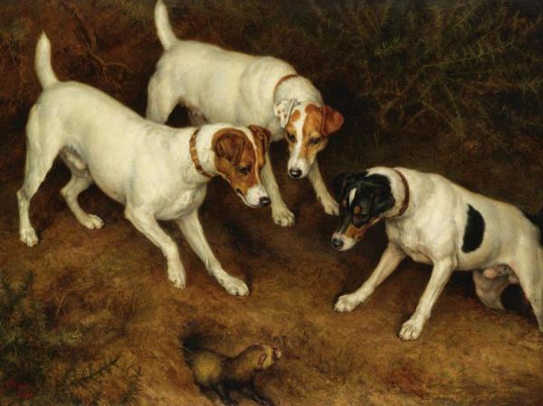 Frank Paton Not At Home: Cracknell, Olive And Jack Russell On A Ferret