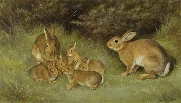 Rabbits by Frank Paton Oil Painting Reproductions