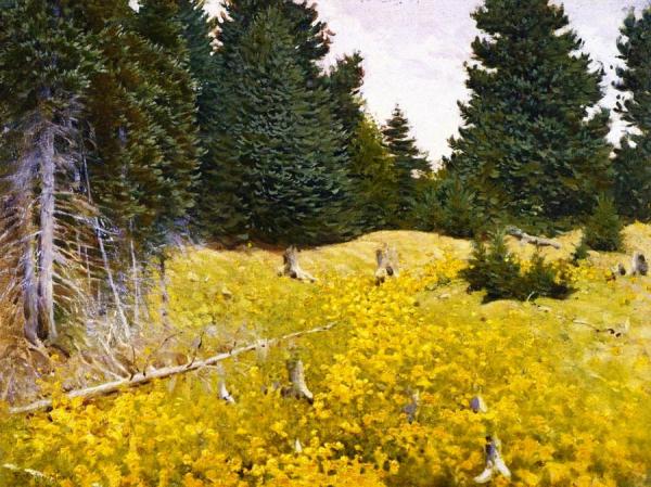 Field Of Wildflowers by Frank Vincent Dumond Oil Painting Reproductions