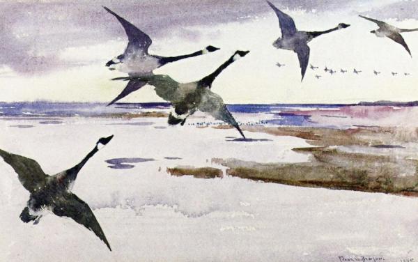 Canadian Geese by Frank Weston Benson