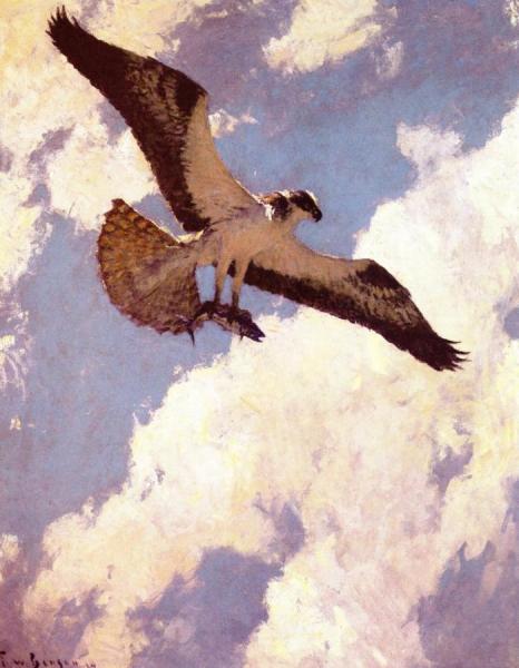 Osprey And Fish by Frank Weston Benson