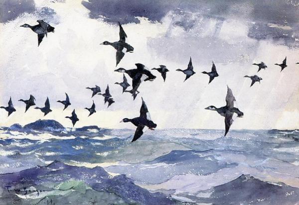 Scoters Over Water by Frank Weston Benson