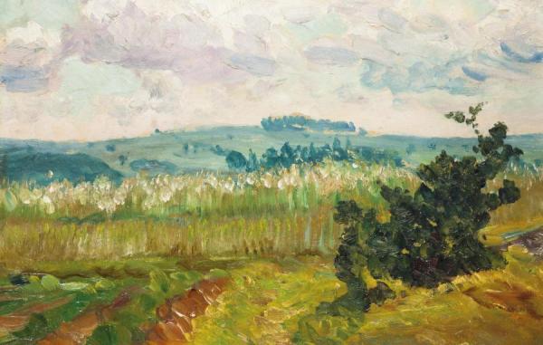A Summer Landscape by František Kaván