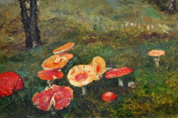 A Toadstools by František Kaván