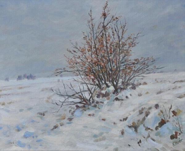 Snowy Shrub by František Kaván