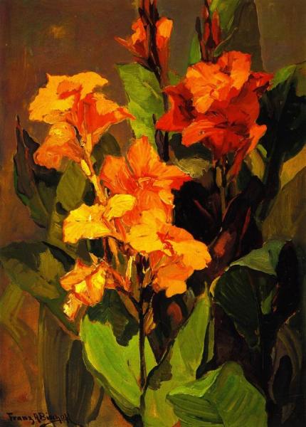 Canna Lilies by Franz Bischoff