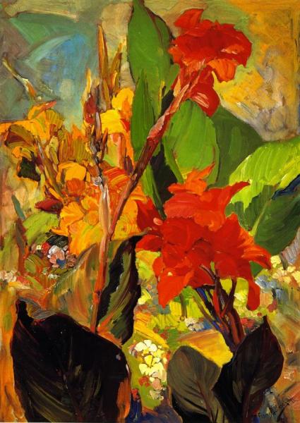 Cannas by Franz Bischoff