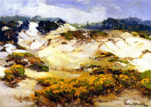 Dunes Pallid By Mist, Monterey Coast by Franz Bischoff