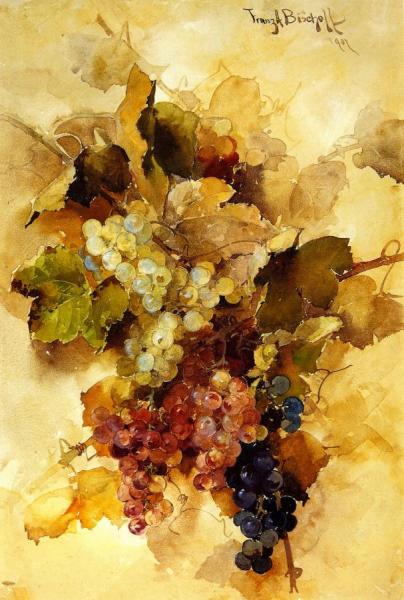 Grapes by Franz Bischoff