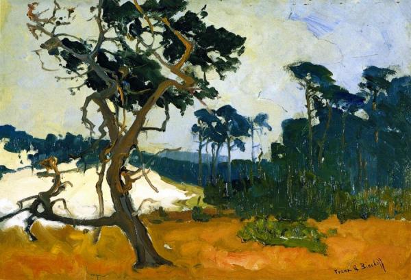 Lone Cypress by Franz Bischoff