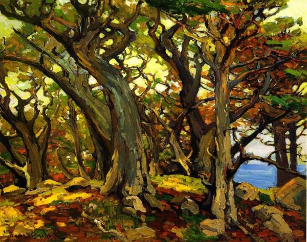 Franz Bischoff Monterey Cypress
