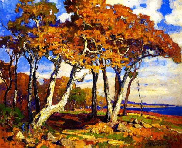 Sycamores, Autumn by Franz Bischoff