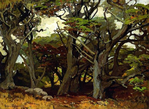 Victores Primeval by Franz Bischoff