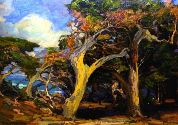 Windswept Twisted Cypress by Franz Bischoff