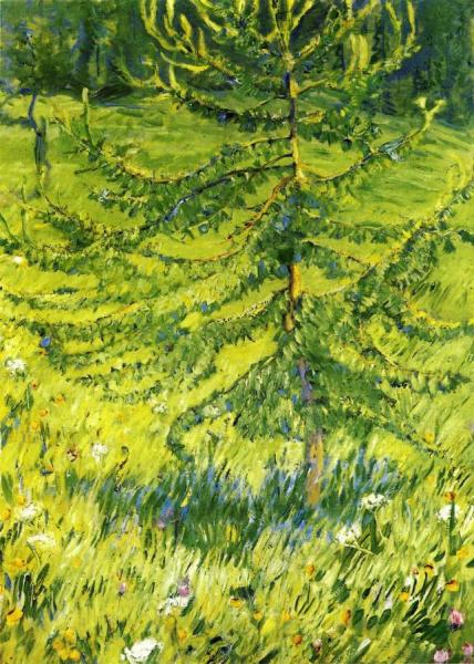 Larch Sapling by Franz Marc