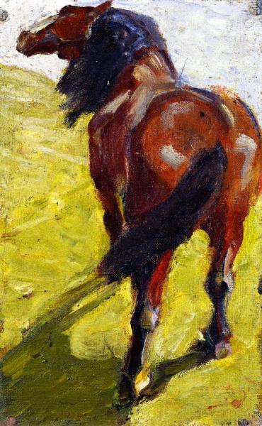 Study Of A Horse by Franz Marc