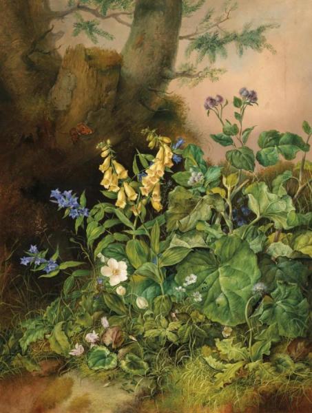 Woodland Flowers by Franz Xavier Petter