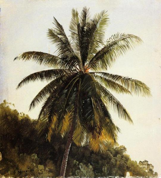 Palm Trees, West Indies by Frederic Edwin Church