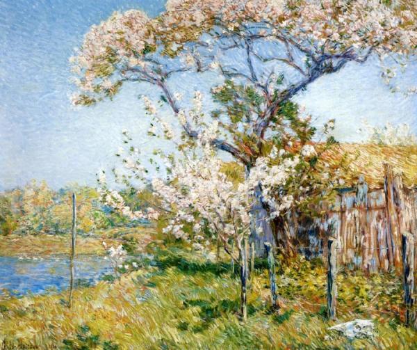 Apple Trees In Bloom, Old Lyme by Frederick Childe Hassam