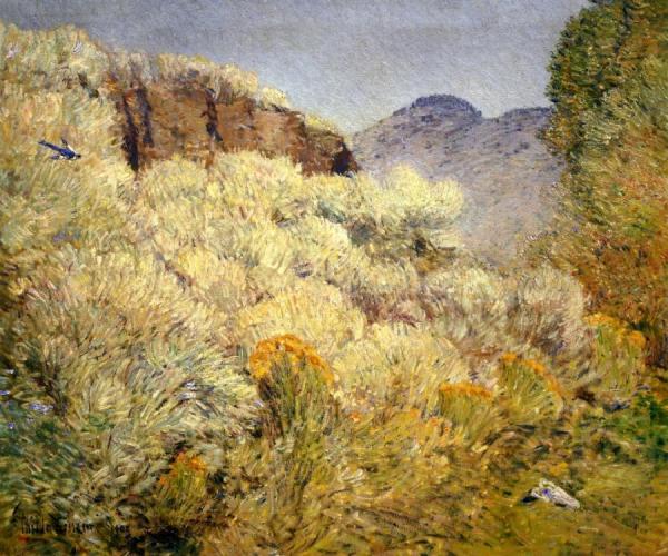Harney Desert by Frederick Childe Hassam