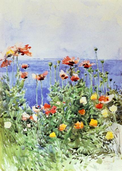 Poppies, Isles Of Shoals by Frederick Childe Hassam
