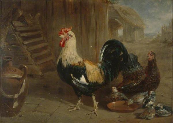 Poultry by Frederick Goodall