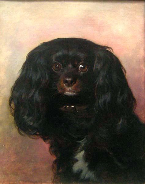 Portrait Of A Favorite Dog by Friedrich Von Amerling