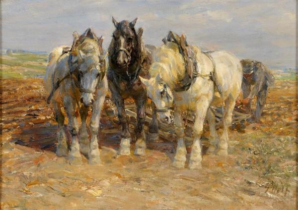 After The Field Work by Georg Wolf