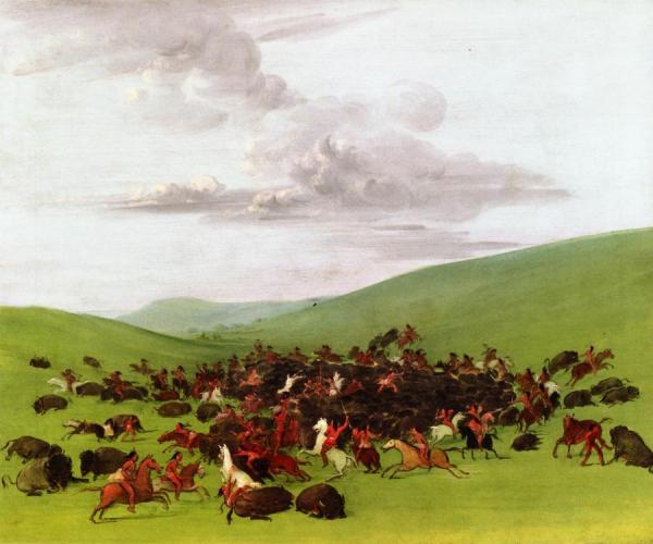 Buffalo Hunt, A Surround By The Hidatsa by George Catlin