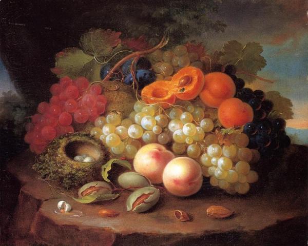 Still Life With Fruit And Bird's Nest by George Forster