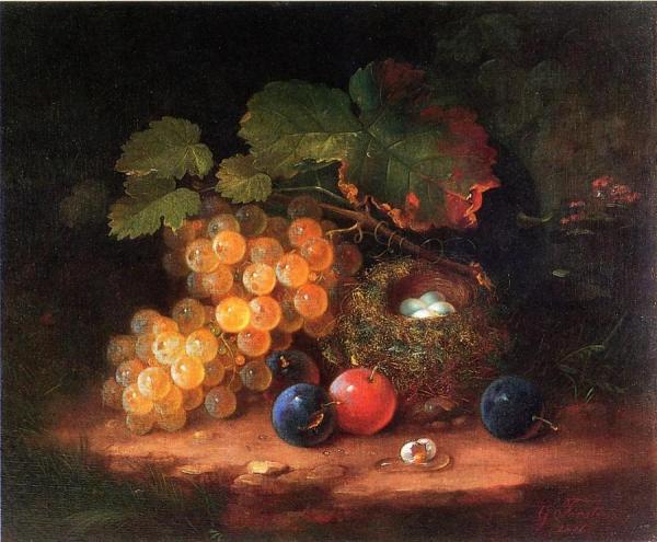 Still Life With Fruit, Bird's Nest And Broken Egg by George Forster