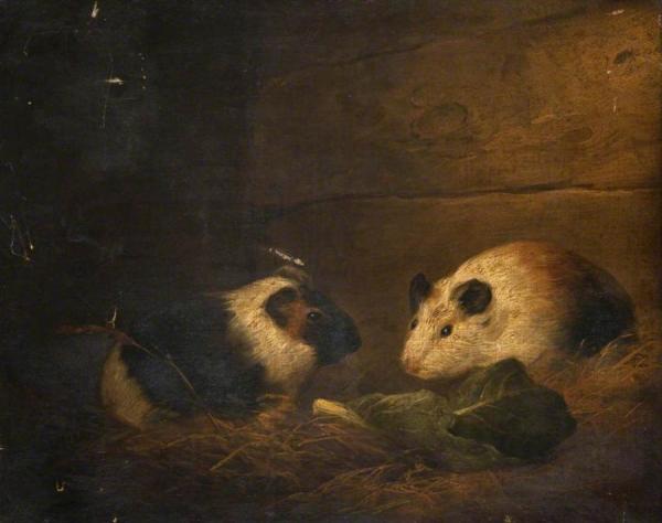 Study Of Guinea Pigs by George Morland
