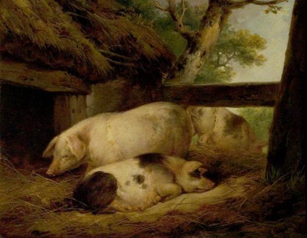 Study Of Pigs by George Morland