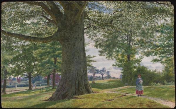 A Girl By A Beech Tree In A Landscape by George Price Boyce, R.w.s.