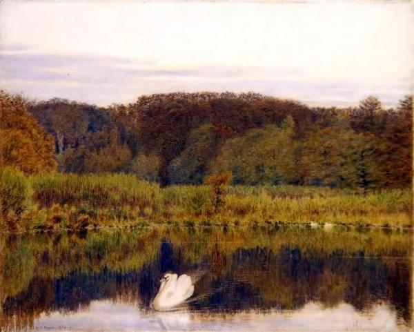 Abinger Mill Pond, Surrey by George Price Boyce, R.w.s.