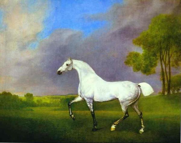 A Grey Horse by George Stubbs