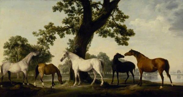 Five Brood Mares At The Duke Of Cumberland's Stud Farm In Windsor Great Park by George Stubbs Oil Painting Reproductions