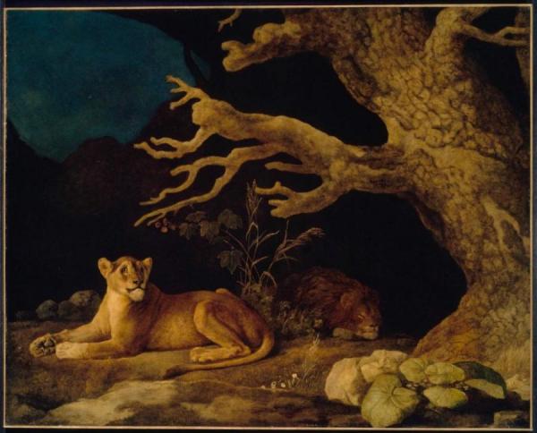 Lion And Lioness by George Stubbs Oil Painting Reproductions
