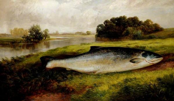 A Salmon Lying On A Riverbank by George Turner