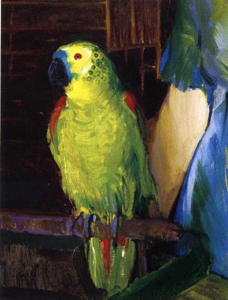 George Wesley Bellows Parrot