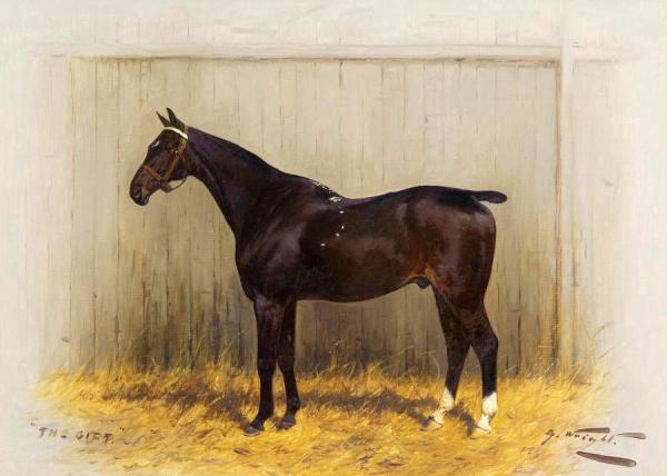 Bay Horse In Stable by George Wright